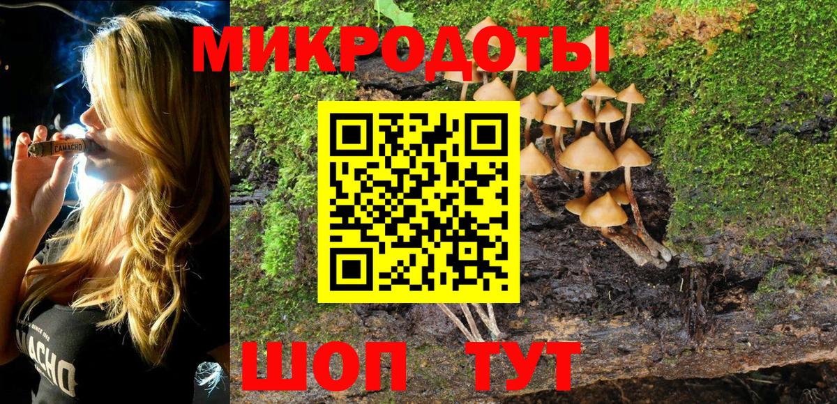 Псилоцибиновые грибы Psilocybine cubensis Строитель